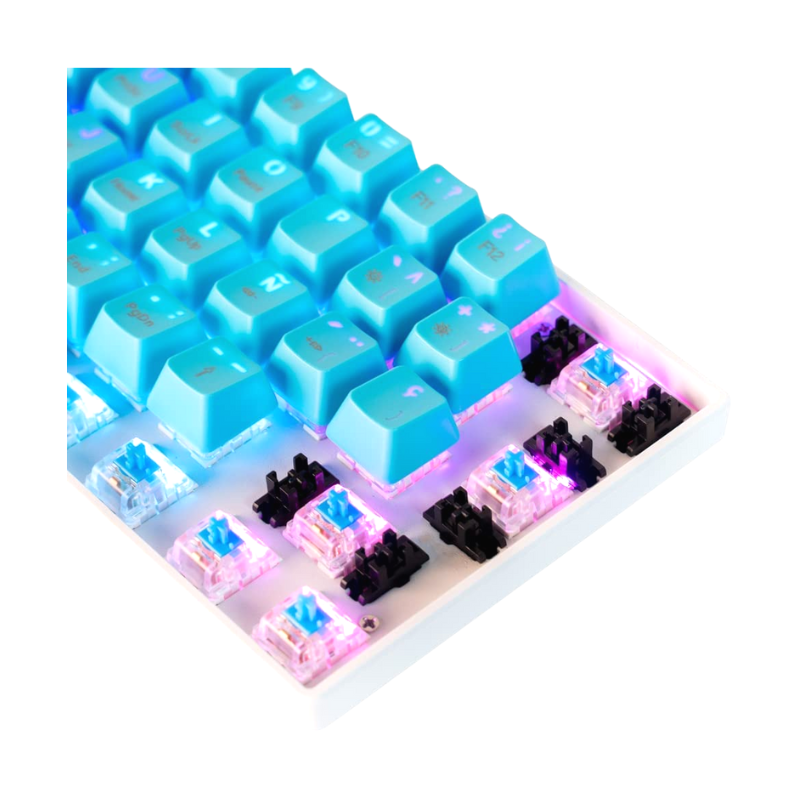 OLizee® 14 teclas PBT para teclado mecánico OEM (morado, talla  frontal) : Electrónica